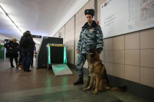 Сотрудники полиции ежедневно принимают подобные обращения от москвичей. Фото: "Вечерняя Москва"