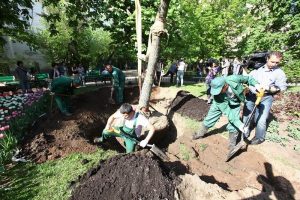 Работы на территории детского сада провели в рамках программы «Моя улица». Фото: "Вечерняя Москва"