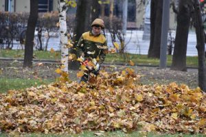 Сейчас столичные коммунальщики регулярно убирают опавшую листву. Фото: "Вечерняя Москва"