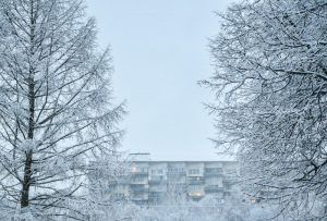 Снежная горку и другие объекты зимнего отдыха будут доступны для отдыха в районе Арбат. Фото: Пелагия Замятина, «Вечерняя Москва»