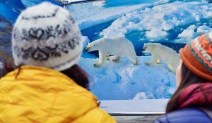 Школьники Москвы примут участие в Большой арктической экспедиции. Фото: официальный сайт мэра Москвы