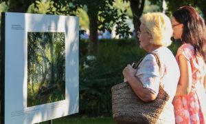 Фотовыставку о природе открыли в районе. Фото: сайт мэра Москвы