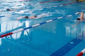 Соревнование по плаванию состоится в районе. Фото: сайт мэра Москвы