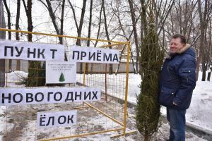 Более 350 пунктов приема елок отрылось в Москве. Фото: архив, «Вечерняя Москва»