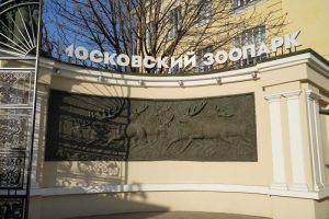 Экскурсию в Московский зоопарк организовали для учеников школы №1231. Фото: Денис Кондратьев
