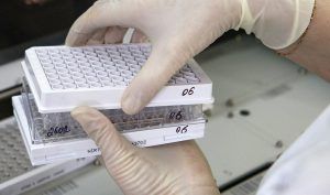 В Москве развернуто 9 лабораторий для анализа тестов на коронавирус. Фото: официальный сайт мэра Москвы