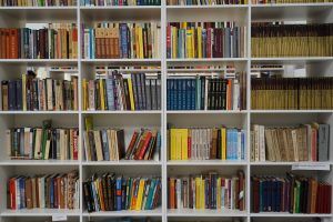 Библиотеки столицы запускают онлайн-программу летнего чтения школьников 