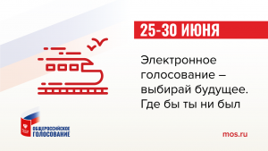 Дистанционное голосование будет доступно для жителей Москвы и Нижегородской области