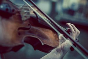 Концерт скрипичной музыки организовали в залах музея «Дом Лосева». Фото: pixabay.com