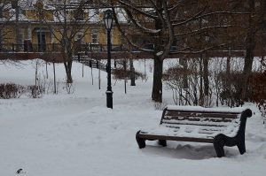 Смысл и стиль сада рассмотрят в «Доме Гоголя». Фото: Анна Быкова