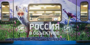 Новый тематический поезд будет курсировать на серой ветке метро. Фото: сайт мэра Москвы