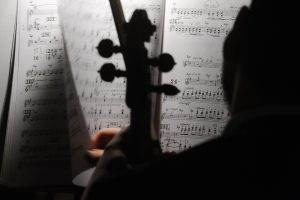 Вечер оркестровых струнных инструментов организуют в РАМ имени Гнесиных. Фото: Александр Кожохин, «Вечерняя Москва»
