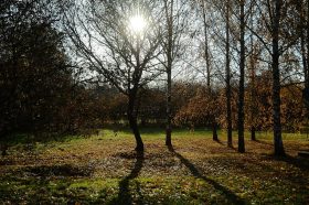 Ко Дню народного единства в Доме Бурганова проведут экскурсию. Фото: Анна Быкова, «Вечерняя Москва»