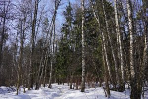 В Москве открылся новый дом для любителей моржевания. Фото: Анна Быкова, «Вечерняя Москва»