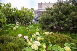 «Сады и цветы»: цветочные экспозиции открылись на улицах района Арбат. Фото: пресс-служба Департамента торговли и услуг города Москвы