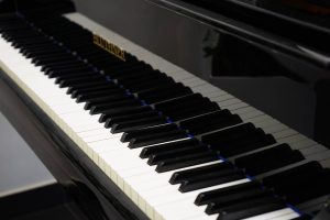 Концерт классической музыки состоится в библиотеке №3. Фото: Анна Быкова, «Вечерняя Москва»