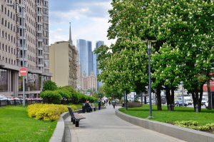 «Спасибо за победу!»: тематические экскурсионные маршруты провели в районе Арбат. Фото: Анна Быкова, «Вечерняя Москва»
