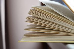 Лекция о «Евгении Онегине» стоится в Доме Лосева. Фото: Анна Быкова, «Вечерняя Москва»