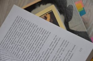 Лекцию о музах Антона Чехова проведут в библиотеке №3. Фото: Анна Быкова, «Вечерняя Москва»
