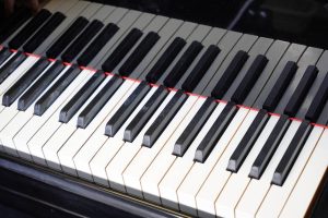 Концерты учеников ДШИ имени Дмитрия Бортнянского состоятся в Доме-музее Марины Цветаевой. Фото: Анна Быкова, «Вечерняя Москва»