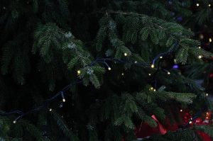 Особняк Хитрово добавили в список маршрута «Москва усадебная». Фото: Анна Быкова, «Вечерняя Москва»