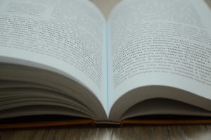 Заседание клуба поэзия проведут в Доме-музее Марины Цветаевой. Фото: Анна Быкова, «Вечерняя Москва»